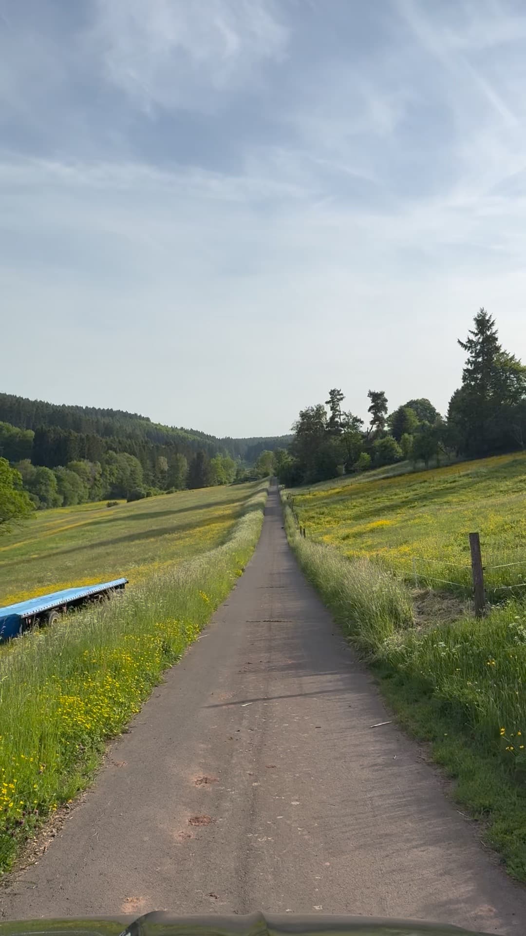 Wandelpad door de groene velden van de Eifel